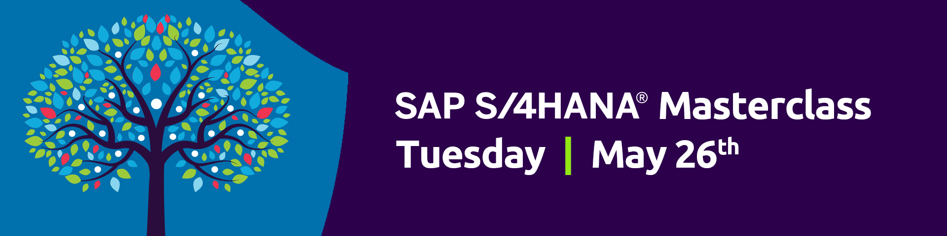 SAP S/4 HANA Masterclass webinar | Tuesday, 26th May